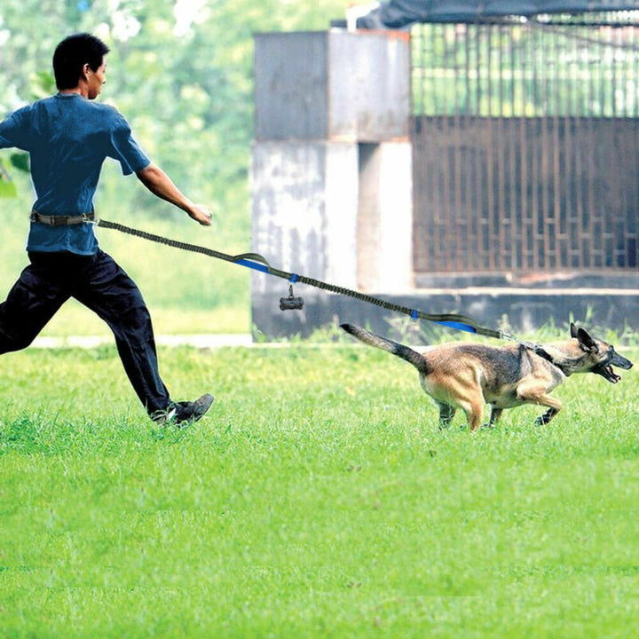 Multi-Function Reflective Elastic Dog Leash