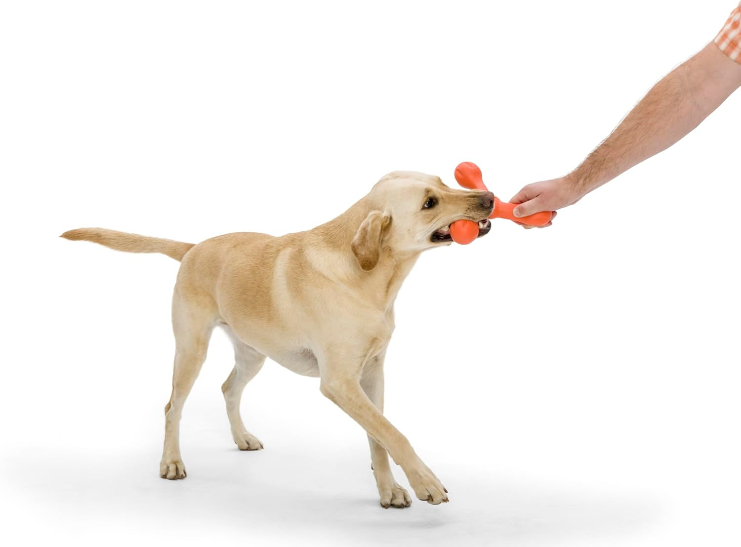 Zogoflex Air Skamp Tug-Of-War Stick Dog Chew Toy – Hollow, Squishy Interactive Toy for Dogs, Puppies – for Chewing, Catch, Carry, Fetch, Dishwasher Safe, Latex-Free, Large 8.5", Melon