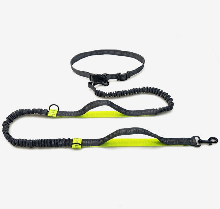 Multi-Function Reflective Elastic Dog Leash