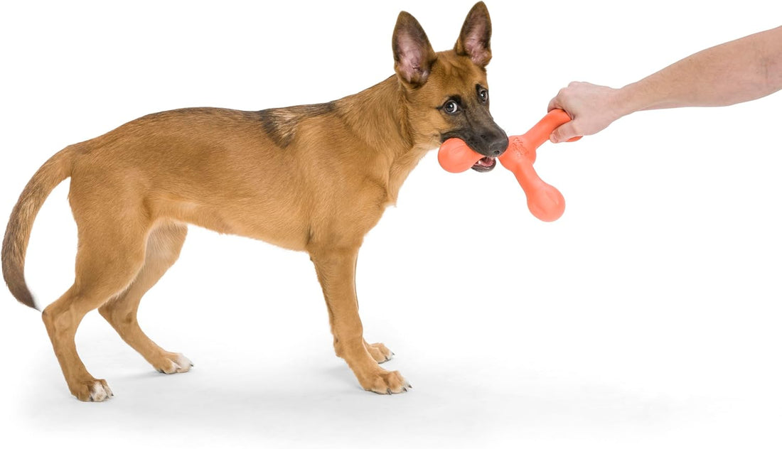 Zogoflex Air Skamp Tug-Of-War Stick Dog Chew Toy – Hollow, Squishy Interactive Toy for Dogs, Puppies – for Chewing, Catch, Carry, Fetch, Dishwasher Safe, Latex-Free, Large 8.5", Melon