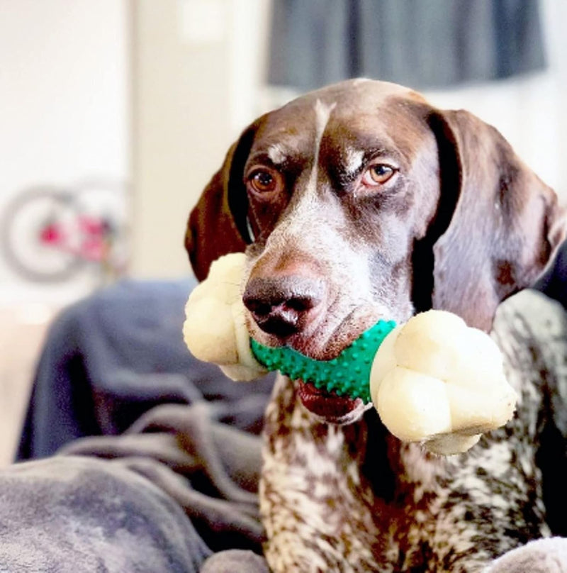 Double Action Bone Chew Toy – Bacon Flavor, X-Large, 1 Count