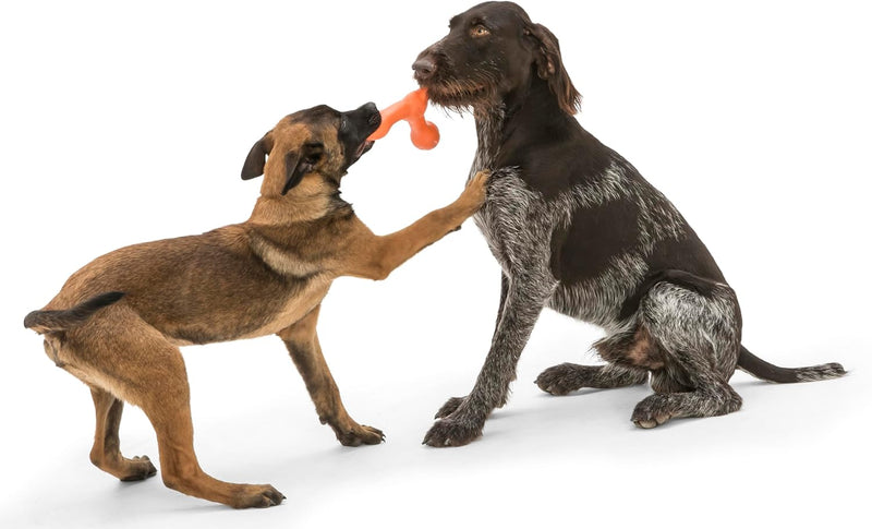 Zogoflex Air Skamp Tug-Of-War Dog Toy
